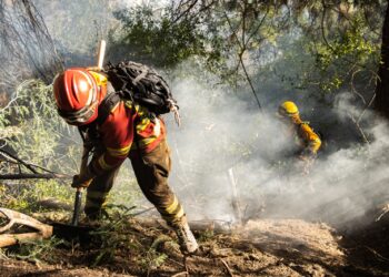 CONAF presenta informe sobre incendios forestales en la Región del Maule.