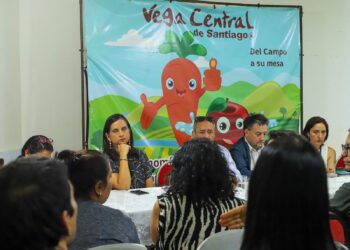 Gobierno se organiza para apoyar a locatarios tras incendio en La Vega Central y asegura que no habrá alza en los precios de los alimentos.