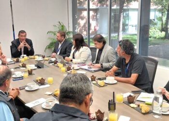 CGE arma mesa de trabajo con autoridades para tratar robos de cables eléctricos en San Bernardo y otras comunas del sector oriente de la RM.