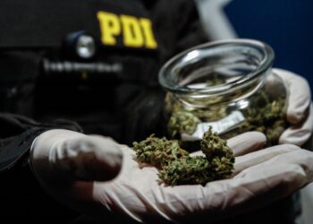 PDI confiscó cocaína y plantas de cannabis en Longaví.