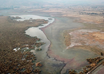 Día Mundial de los Humedales: por qué estos ecosistemas son fundamentales para enfrentar la crisis climática.