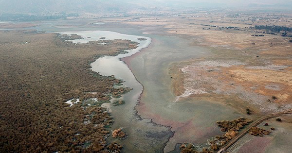 Día Mundial de los Humedales: por qué estos ecosistemas son fundamentales para enfrentar la crisis climática.