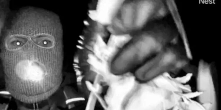 FBI difunde imágenes de un individuo enmascarado en la vivienda de la madre de una presentadora de NBC que continúa desaparecida.