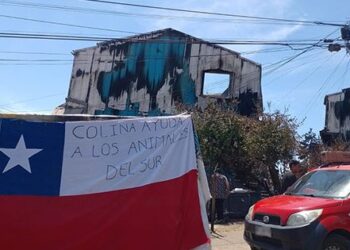 Campaña solidaria en Colina juntó casi un millón de pesos en alimento para animalitos afectados por los incendios.