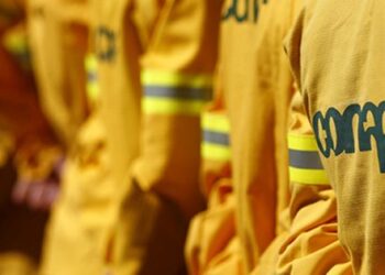 Conaf despide a brigadistas que fueron filmados jugando con brasas en Romeral.