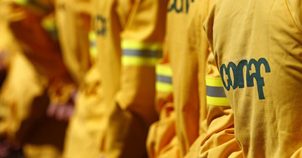 Conaf despide a brigadistas que fueron filmados jugando con brasas en Romeral.