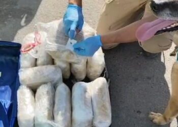 [VIDEO] OS7 de Carabineros asegura más de 13 kilos de marihuana en operativa en Lampa.