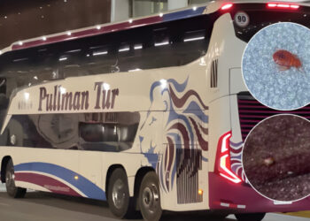 Pasajeros informan sobre la presencia de chinches en un autobús de Pullman Tur en Los Ángeles.