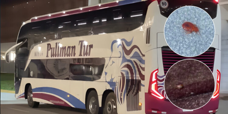 Pasajeros informan sobre la presencia de chinches en un autobús de Pullman Tur en Los Ángeles.