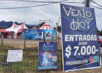 Entradas para el circo, otorgadas por convenio a funcionarios municipales y líderes sociales, se encuentran a la venta en la «feria de las pulgas».