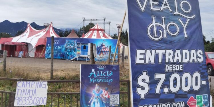Entradas para el circo, otorgadas por convenio a funcionarios municipales y líderes sociales, se encuentran a la venta en la «feria de las pulgas».