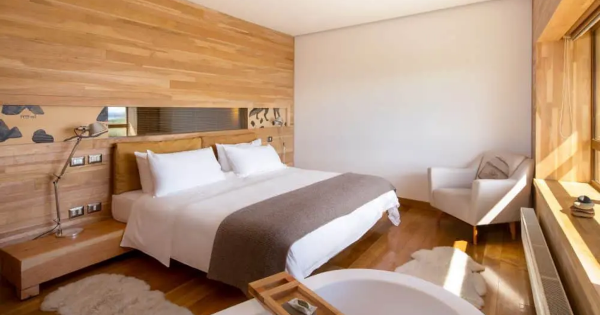 Mercado hotelero en Chile vuelve a alcanzar niveles de llegada de pasajeros previos a la pandemia.