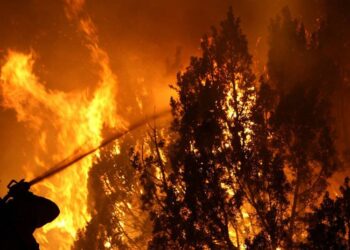 Tecnología del Maule potencia la prevención de incendios forestales.