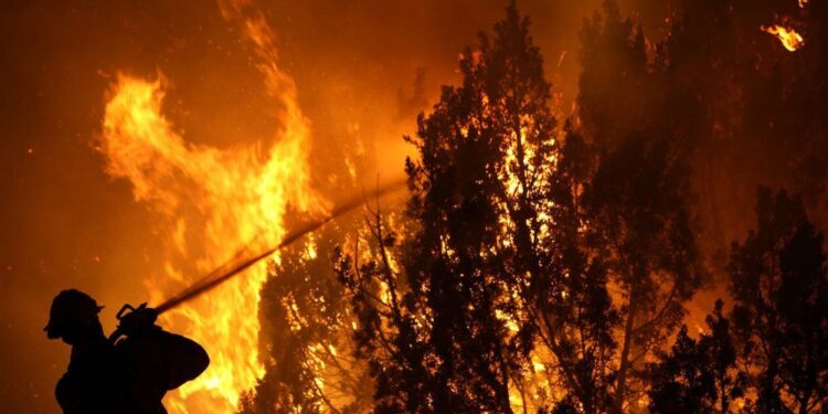 Tecnología del Maule potencia la prevención de incendios forestales.