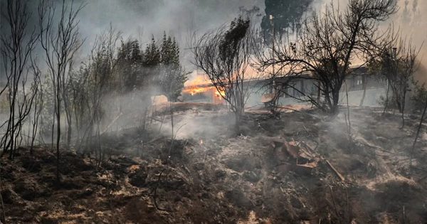Incendios forestales: casi el 99% de los siniestros reportados ya están en proceso de liquidación, según la CMF.
