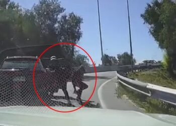 Encerrona fallida en el nudo Quilicura termina con un delincuente atropellado.