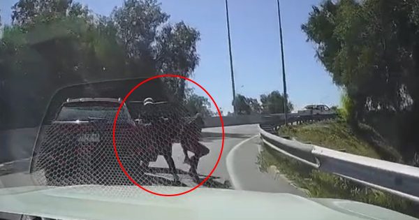 Encerrona fallida en el nudo Quilicura termina con un delincuente atropellado.