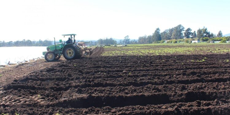 Alerta nacional por erosión, contaminación y problemas en seguridad alimentaria.