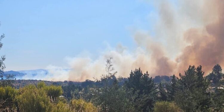 ALERTA ROJA EN ÑUBLE: incendio «Coroney» activo, con 225 hectáreas afectadas.