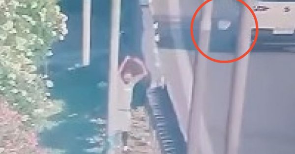 Detuvieron a sujeto lanzando cosas en la Autopista Vespucio Norte.