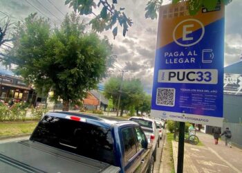 El 63,93% critica el sistema de la municipalidad y la empresa Simple Park – LAVOZDEPUCON.